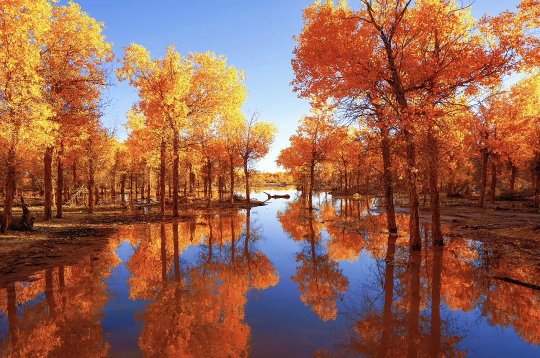 8c9516a1554b2b8e6cfcf6c616b1c34f-sz_620763-1 8c9516a1554b2b8e6cfcf6c616b1c34f-sz_620763-1