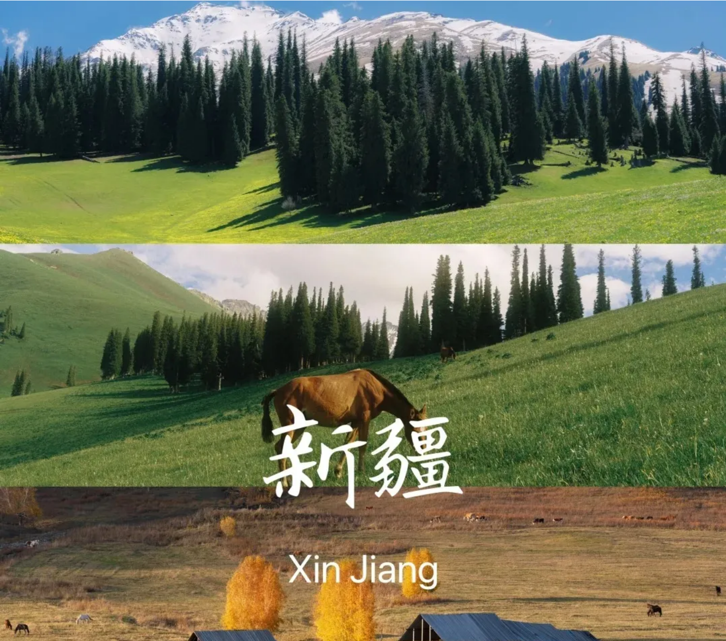 8d8446c437cdf038f3c99f3bbea5867b