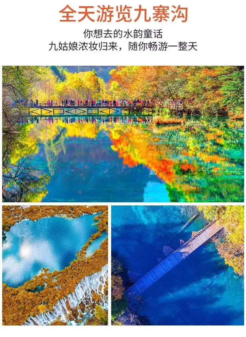 8e1d02652967d9c10ed23856e704bb97-sz_205961 8e1d02652967d9c10ed23856e704bb97-sz_205961