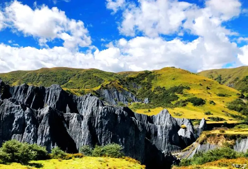 8eda7a1ba39036cfb89d840df8d2e905-sz_94787 8eda7a1ba39036cfb89d840df8d2e905-sz_94787