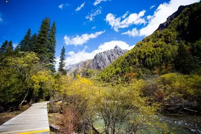 8eef551cb29271d885dbee49568c98db-sz_700907 8eef551cb29271d885dbee49568c98db-sz_700907