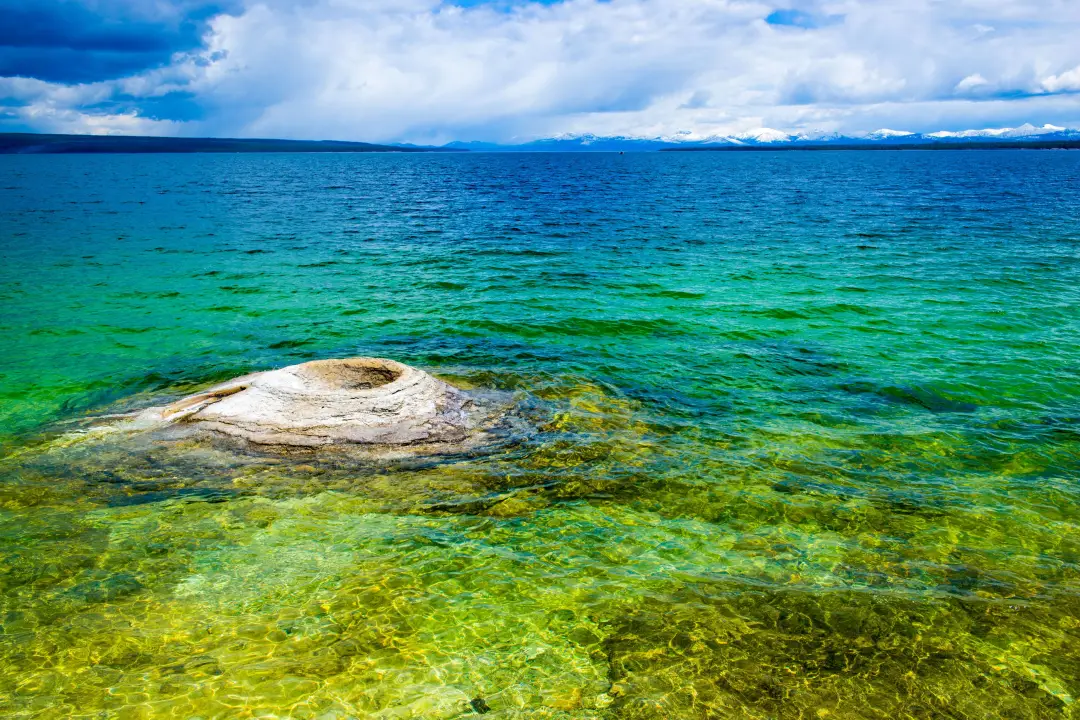 8f53cb328b2fc9a6baacc92ca9bf8c51-sz_1635940