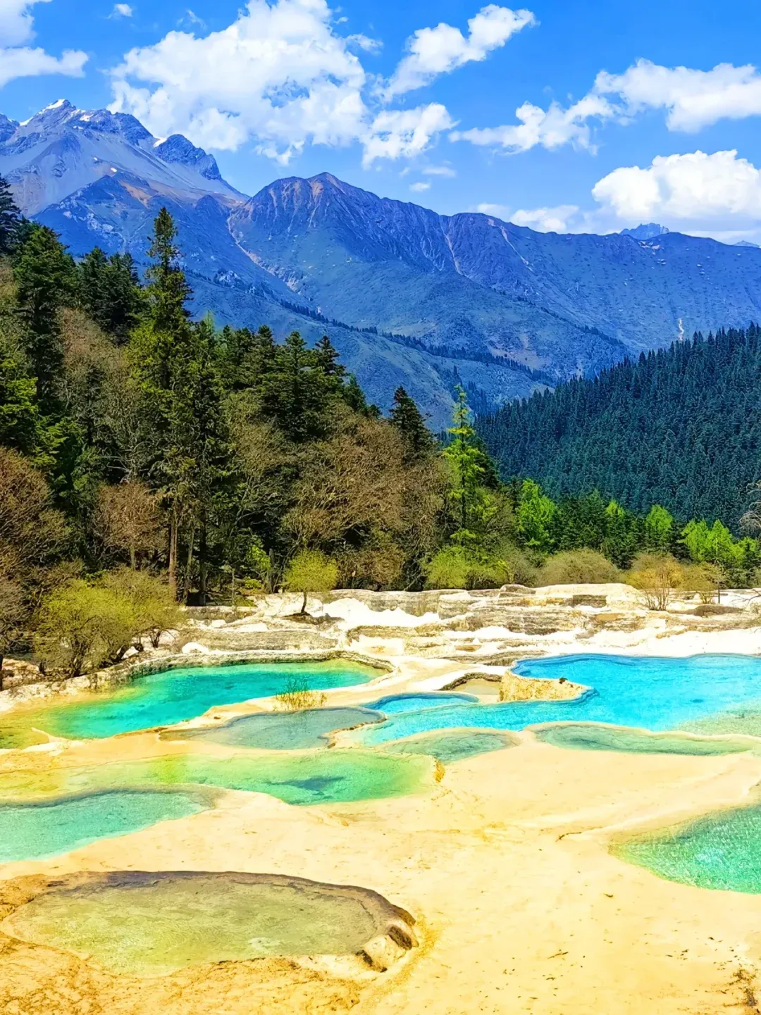 8f6b98729318e3894178ccdc59cb44e8-sz_3552222-2