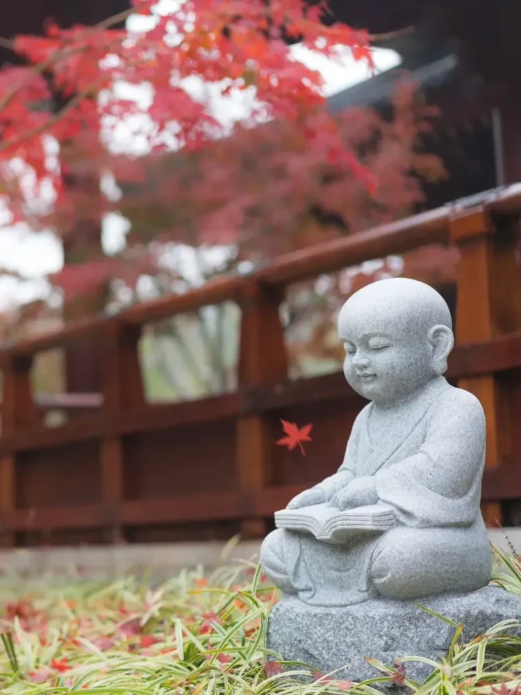 950e597081ae14fab0f91b5660d4ed15-sz_2549529