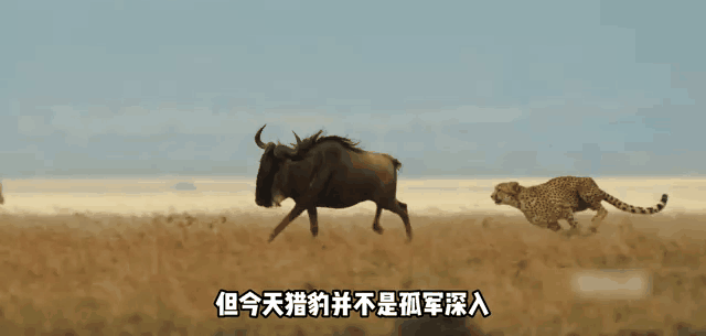 9524ba28e655e50255b6f2cb53af0b45-sz_4411105