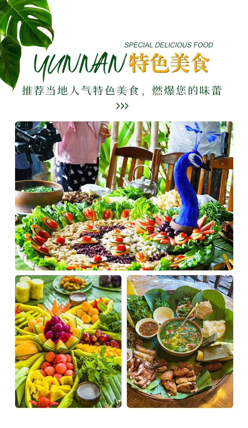 98cf4409449f29ac84281a8d2bac1ccc-sz_909433
