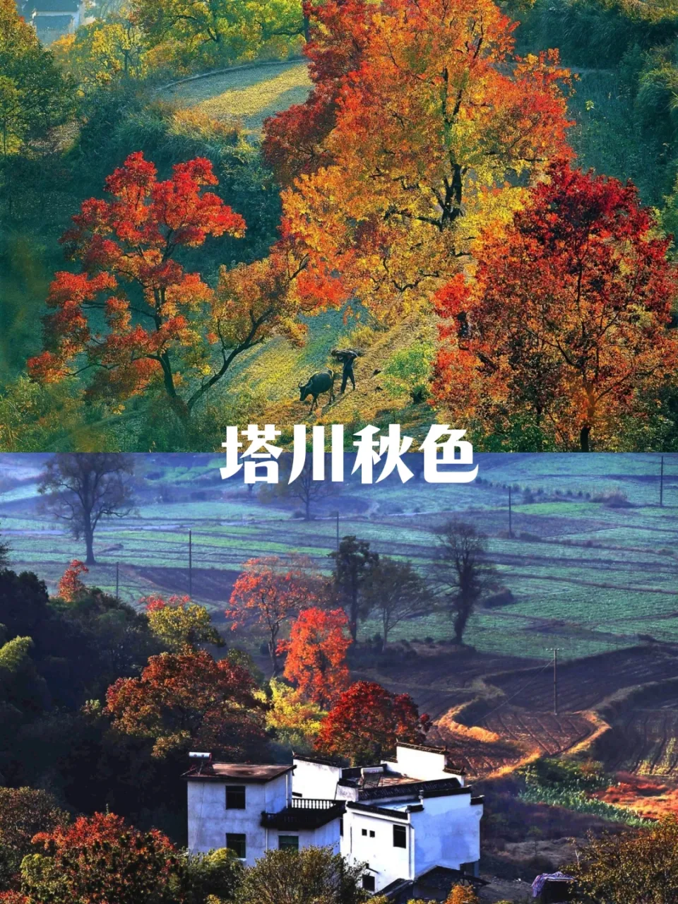 9a1011d4700243103f6c34bd3fd9ca6e-sz_3539872