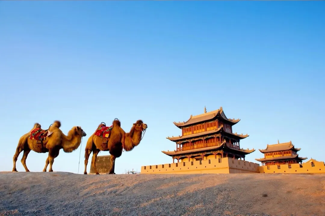 9d4dd1ebb11d02c3c3cfd85725b588b3-sz_2024990 9d4dd1ebb11d02c3c3cfd85725b588b3-sz_2024990