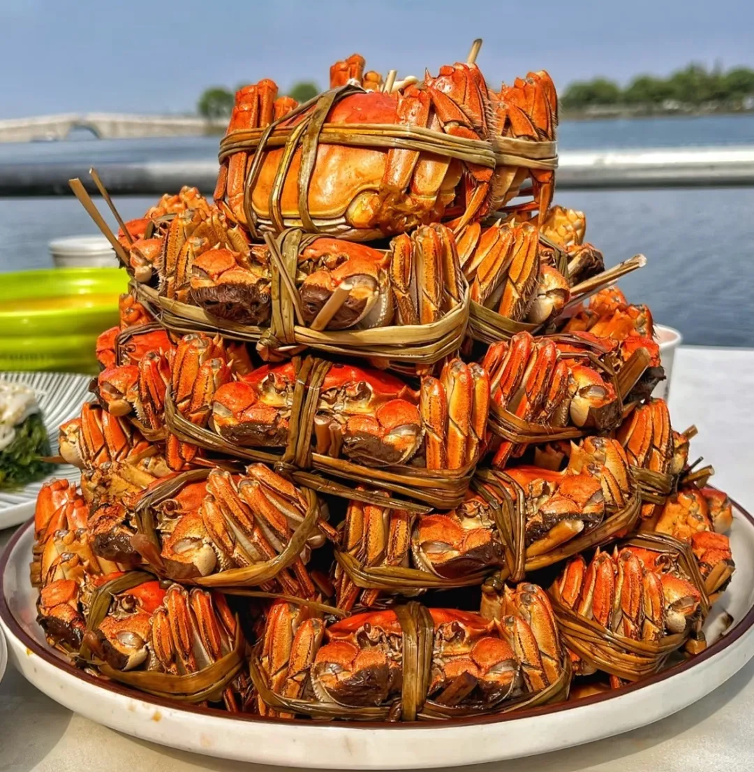 9f06e2830cc4076bd51eab3a6570897d-sz_492369-3 9f06e2830cc4076bd51eab3a6570897d-sz_492369-3