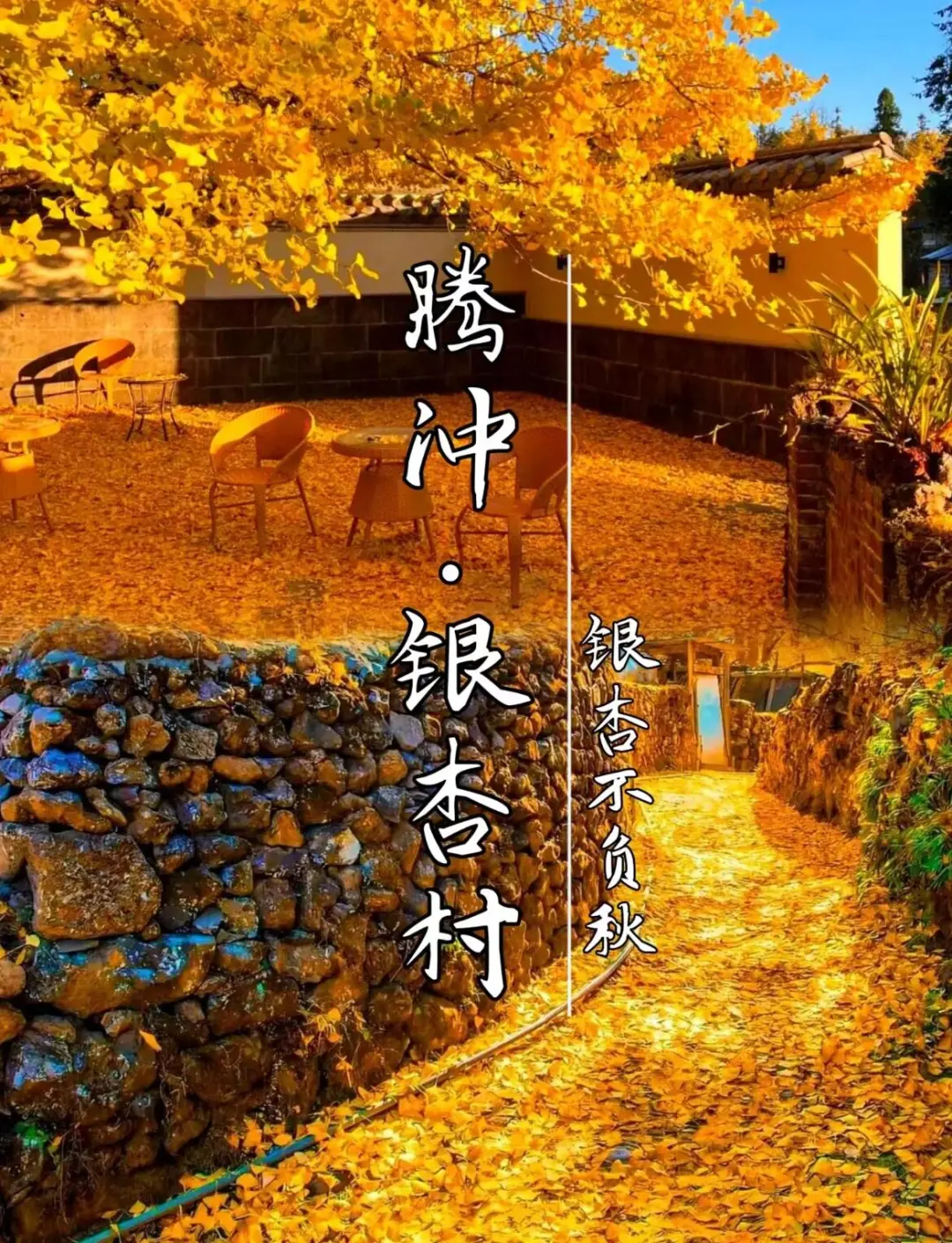9ff6748208a61577adfe5ea8cdf2c40d-sz_415852 9ff6748208a61577adfe5ea8cdf2c40d-sz_415852
