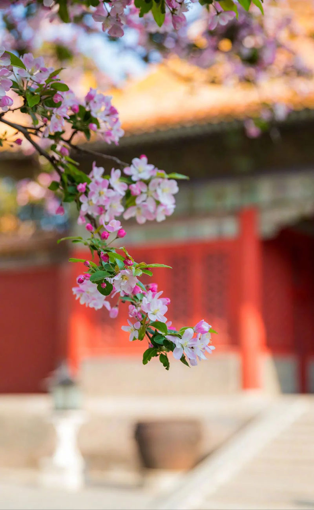 金秋国庆❣️北京爆款❣️纯玩>2580元.一价全含.0购物.0自费.0景交..景点全…酒店连住不挪地儿~双卧7日｜双高5日｜1飞1高5日