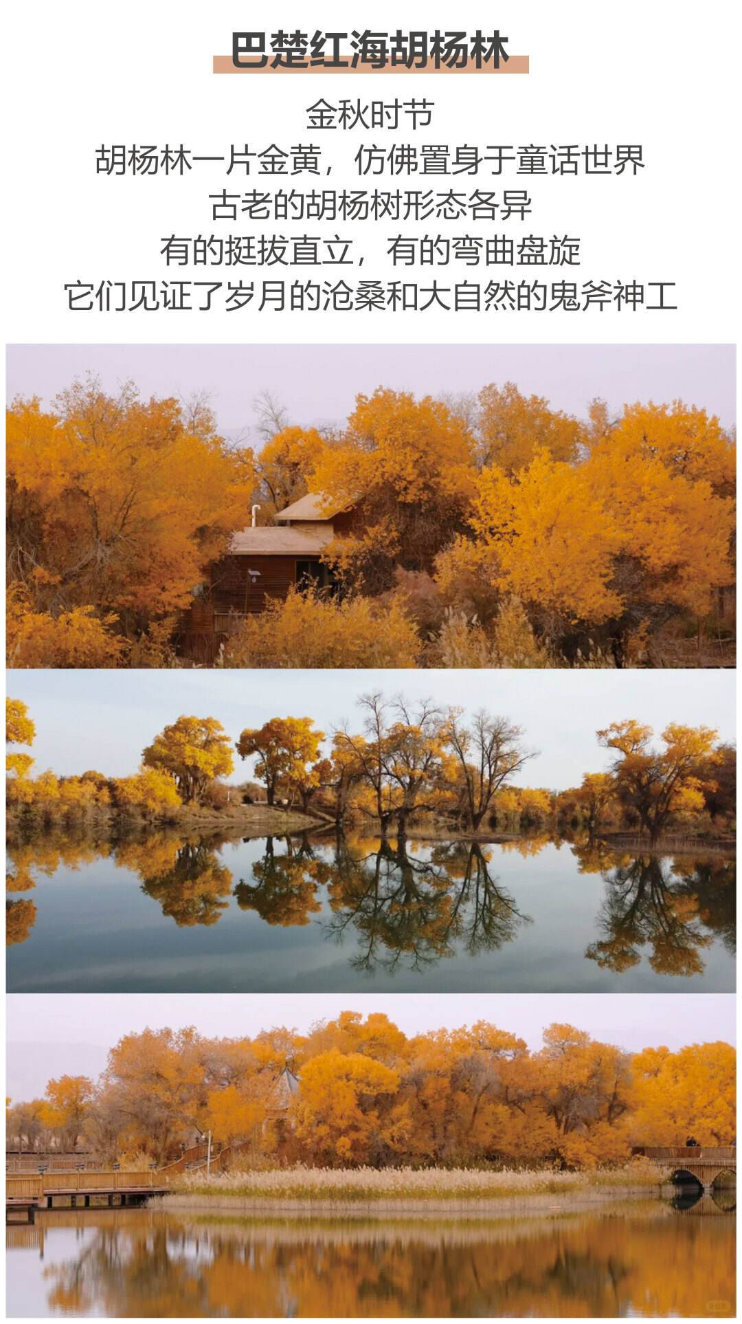 GESOLicavXMUqUkv GESOLicavXMUqUkv