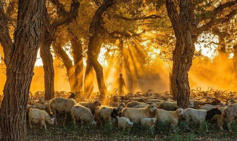 WECAXRGpMjUxtRWw
