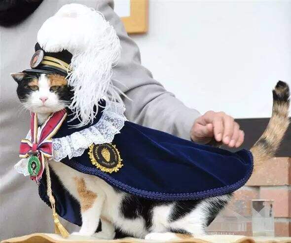ZENoRZMCIwboYOen ZENoRZMCIwboYOen