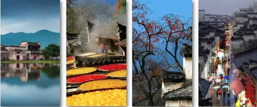 【纯玩：七星康养❤赏秋❤水城泡汤四日398元】住五星水城精品酒店，4顿100多种豪华自助，海鲜，烧烤，免费麻将，K歌，游宏村，塔川秋色，船游“浙西小三峡”，鲍家花园，灵山古村