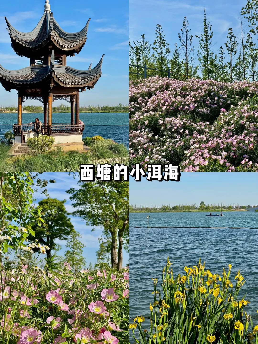 a17fa5234f43b689caf0bd2b97ee56c3-sz_1414188