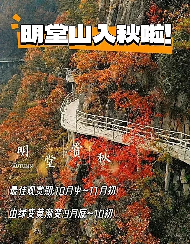 a39ba0f12e086be98b05d2fb0156f4ca-sz_243349 a39ba0f12e086be98b05d2fb0156f4ca-sz_243349