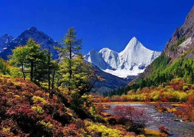 a3f57d792b63b773a66a912cafede6b9-sz_83041 a3f57d792b63b773a66a912cafede6b9-sz_83041