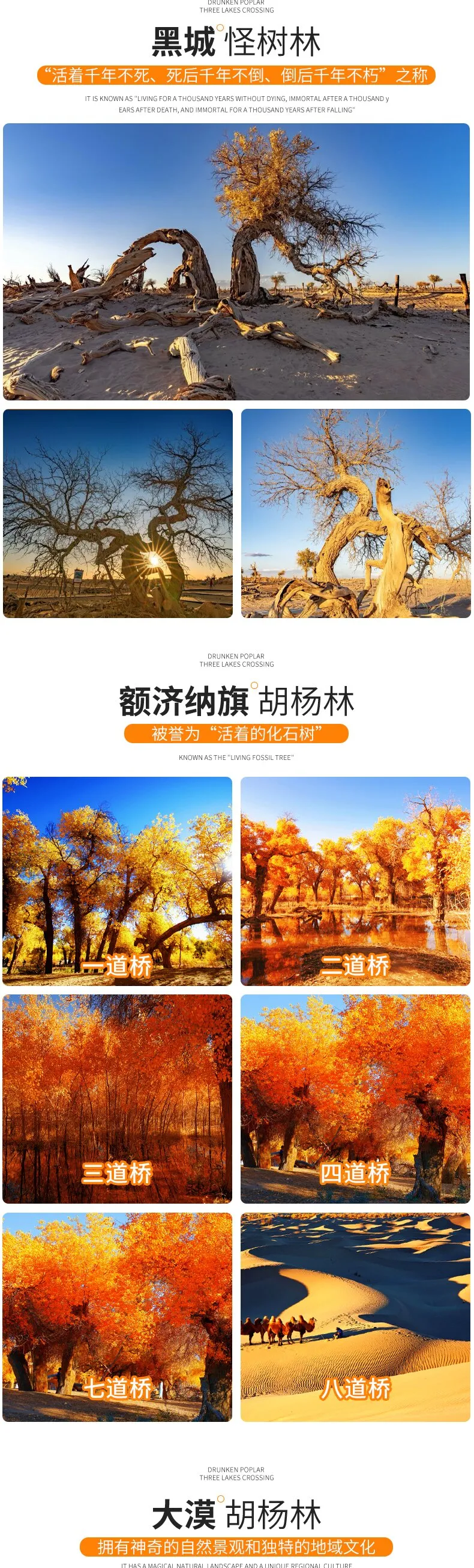 a412ece6fb2101b7cac8314a824e42f5-sz_617994 a412ece6fb2101b7cac8314a824e42f5-sz_617994