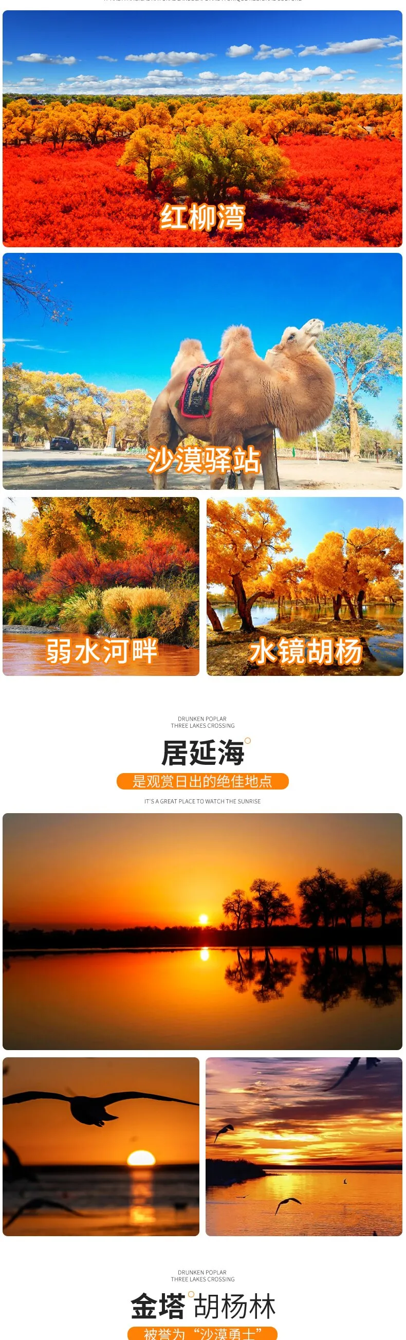 a551874312329441fca4679809e704cf-sz_465059 a551874312329441fca4679809e704cf-sz_465059