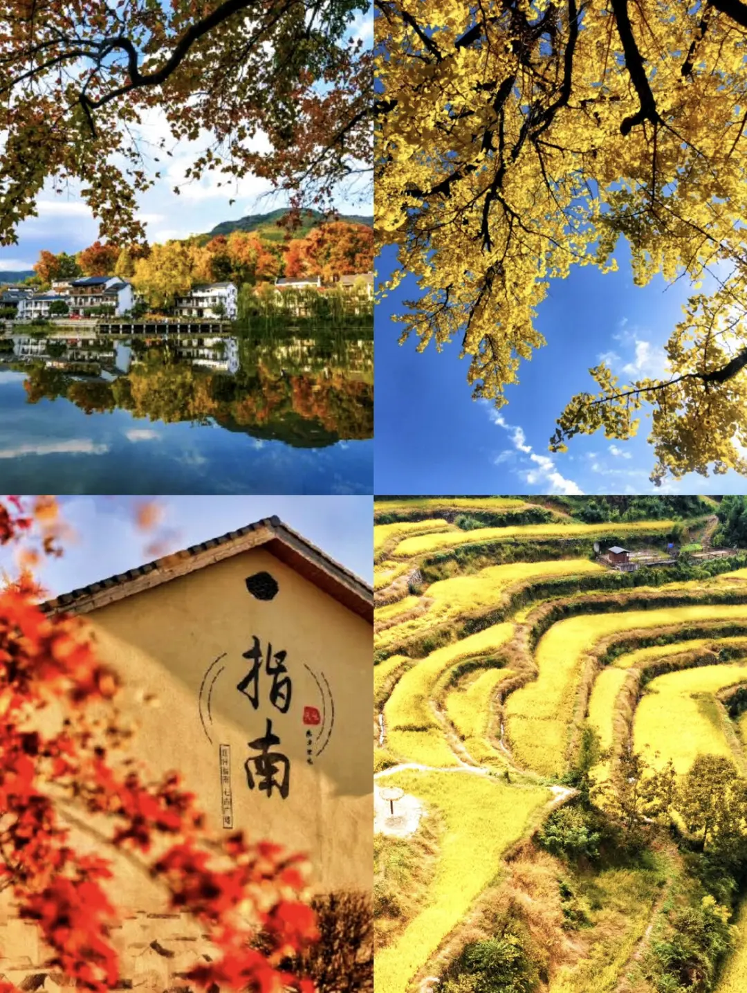 a598687149f9bbc70d328d312d65044d-sz_494515
