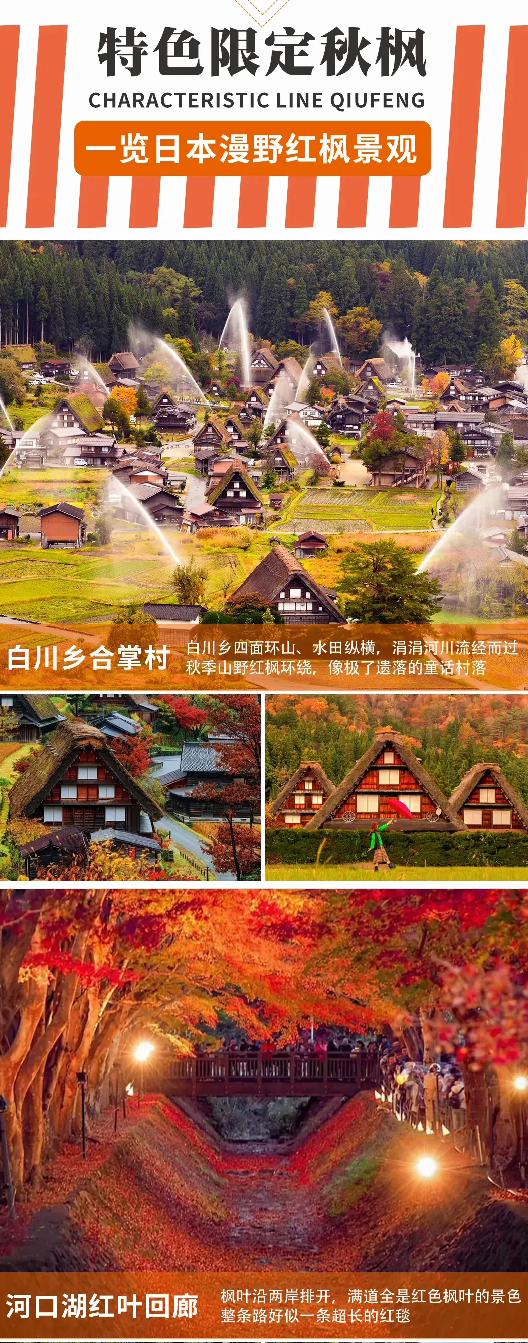a5e57ae35f9a039cda1d24deffbd04cf-sz_5344834