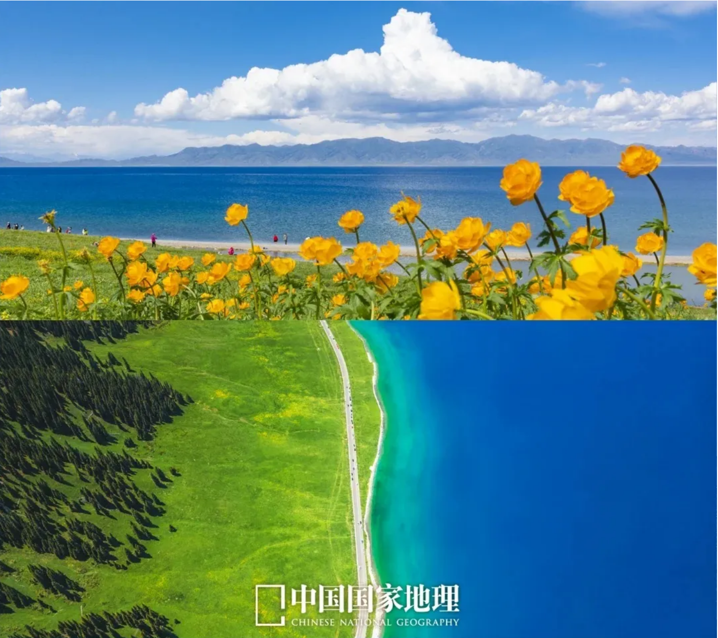 a85647cf431e3da4050a01240c524d61