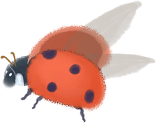 a862586e9be4d83d689ceb082fd24c12_sz-143178-5 a862586e9be4d83d689ceb082fd24c12_sz-143178-5