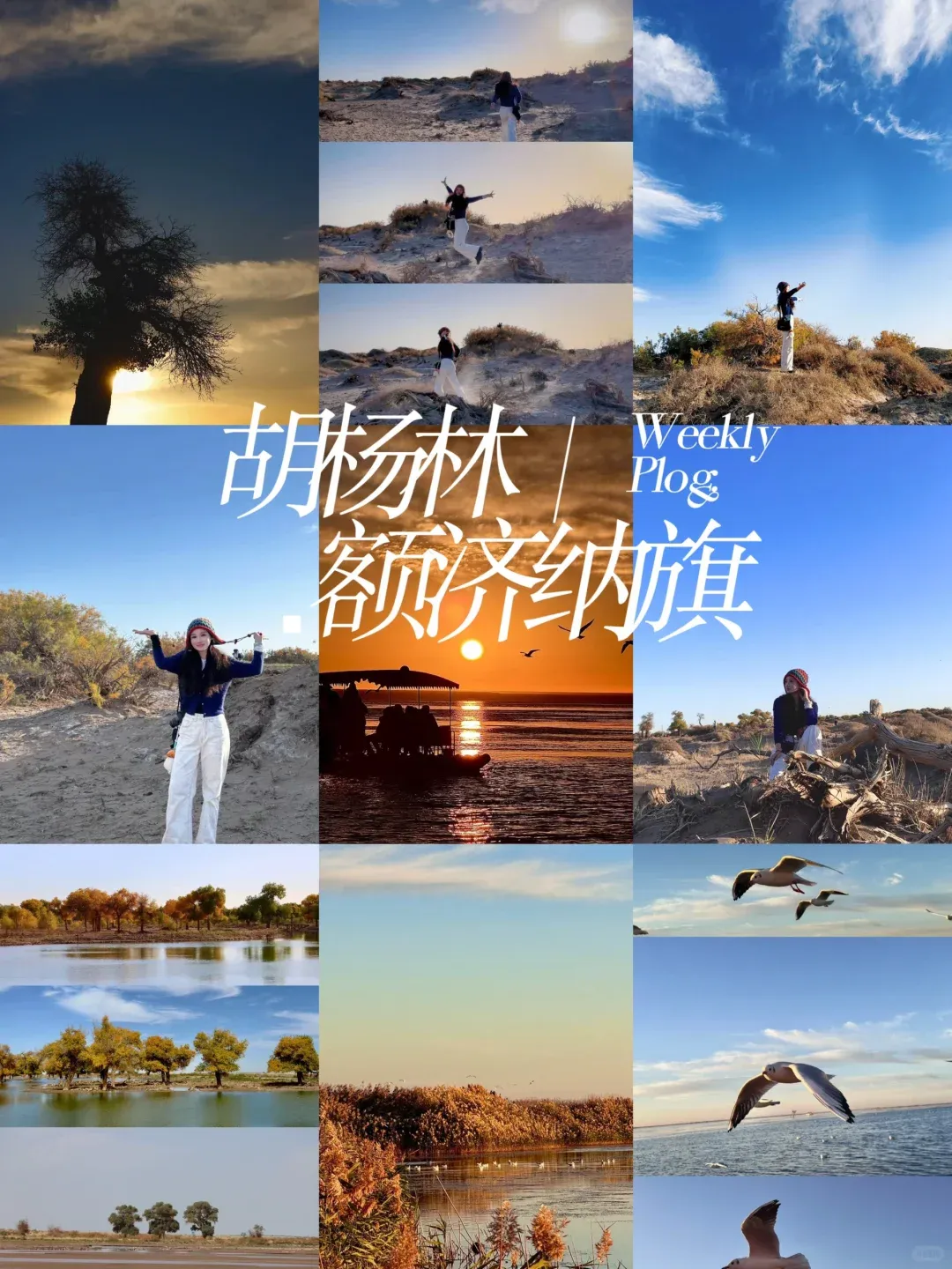 a865785f9aebeb927da3beb9fdd5165f-sz_2566550