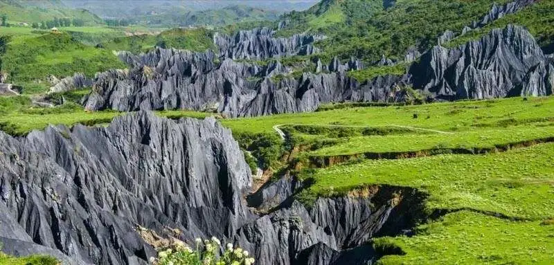 a87fe5c49c545472cf3c48e3f361d620-sz_76411 a87fe5c49c545472cf3c48e3f361d620-sz_76411