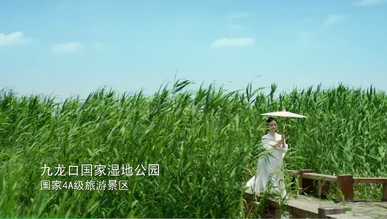 a8a7d024eebded7709381da90bf435ba-sz_510591-1