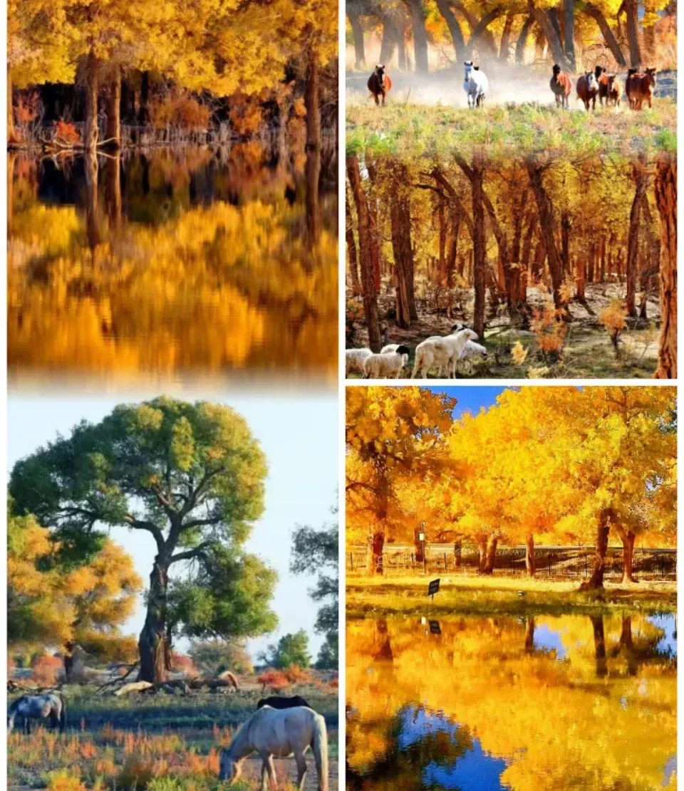 ab969cee03d676c2e93cd2211651cb5f-sz_3241528 ab969cee03d676c2e93cd2211651cb5f-sz_3241528