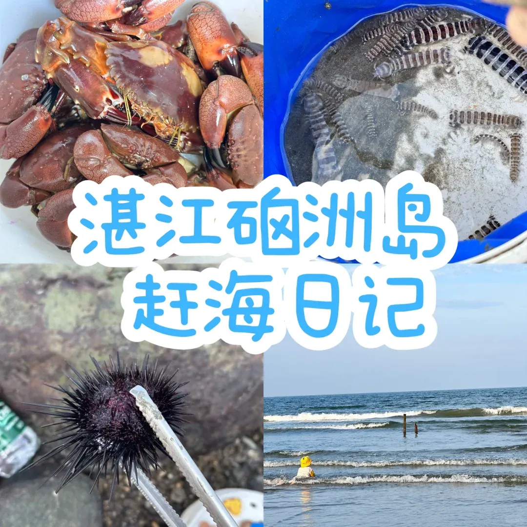 acfceaafab7e35bda1717f954e9fb87a-sz_1901813 acfceaafab7e35bda1717f954e9fb87a-sz_1901813
