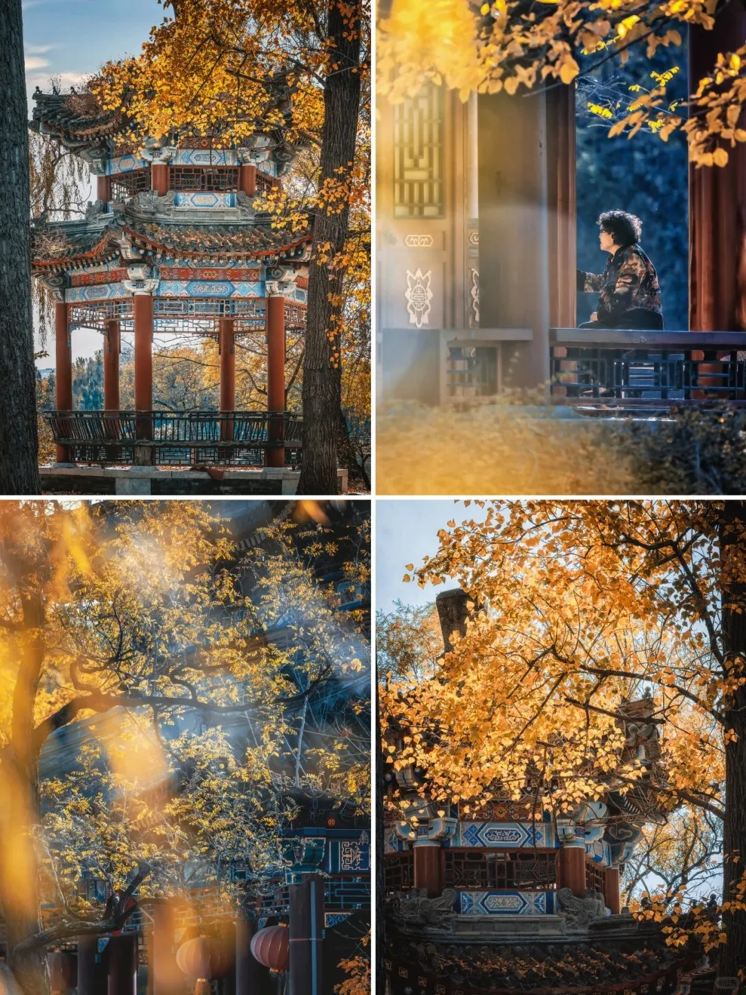 b0eec70182c58b701d9571e5a211e797-sz_652318