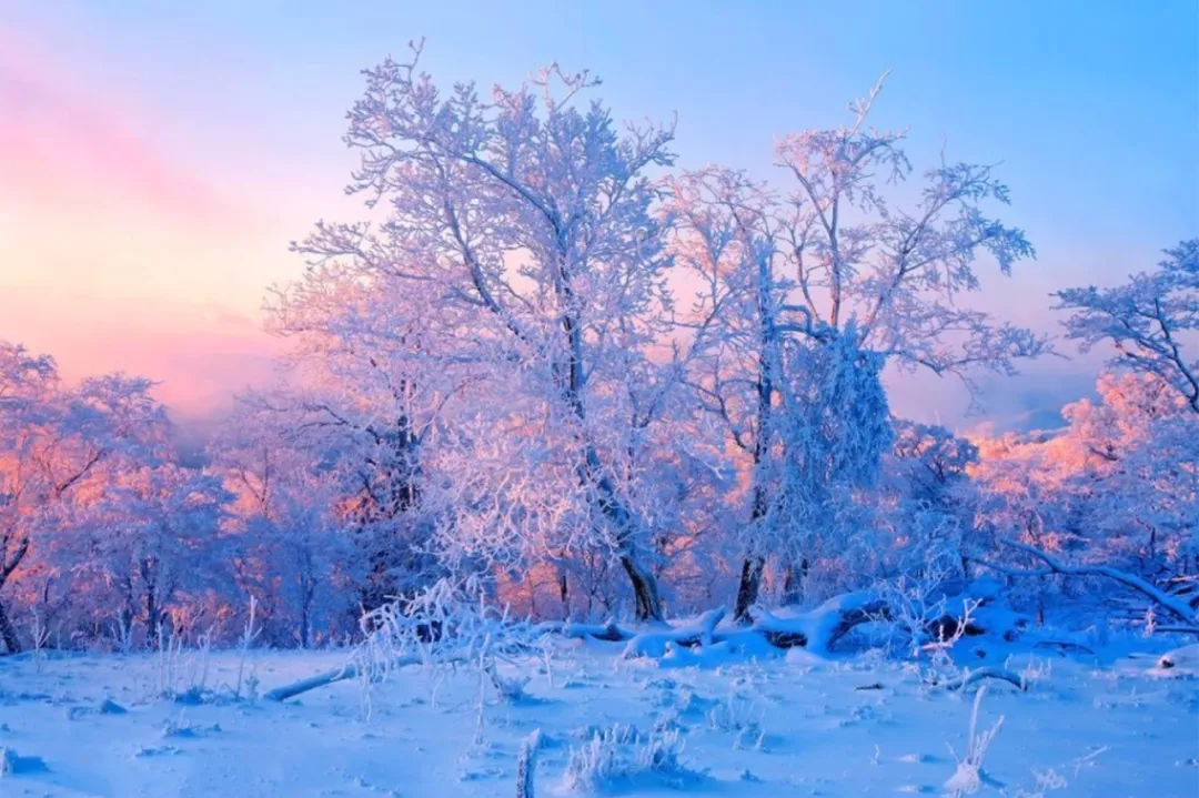 b0f61de0215ae742e764786304e4611d-sz_2951958 b0f61de0215ae742e764786304e4611d-sz_2951958