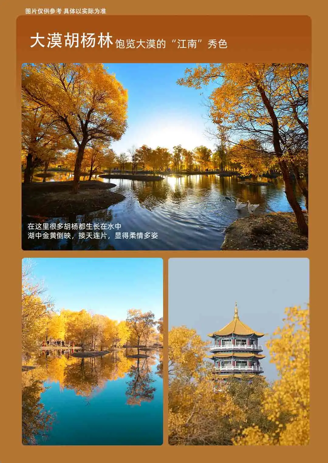 b25fe4eecdf08f8bb804c4cbcfd7b3c6-sz_113500