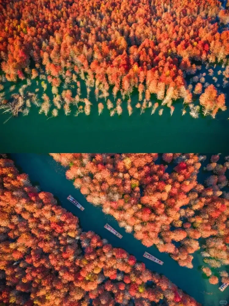 b4e5971a94805cec31de645dfd2c71d2-sz_3692351