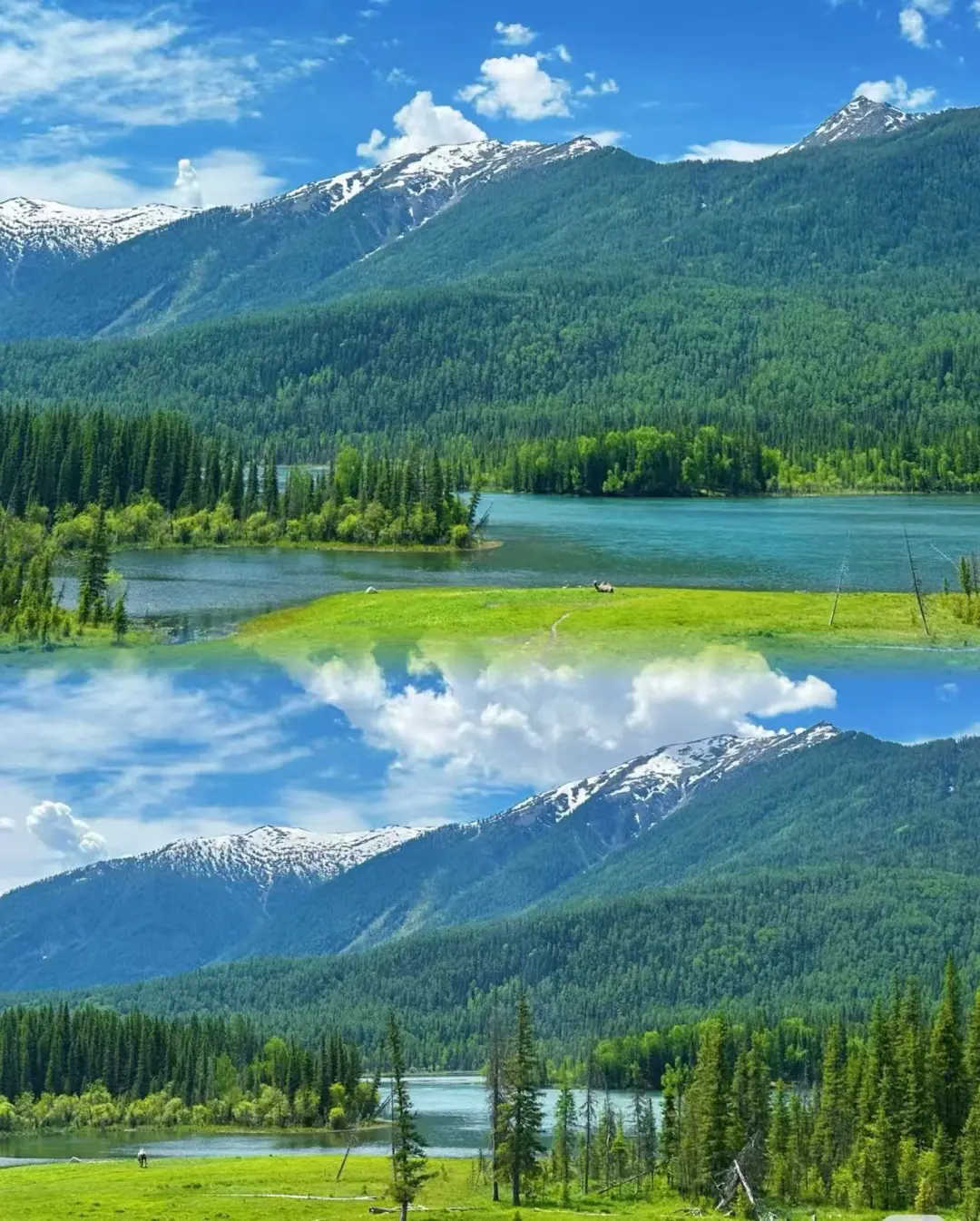 b5387c7a6fb2ebd61f9e6c10f3d1f5b0-sz_341483