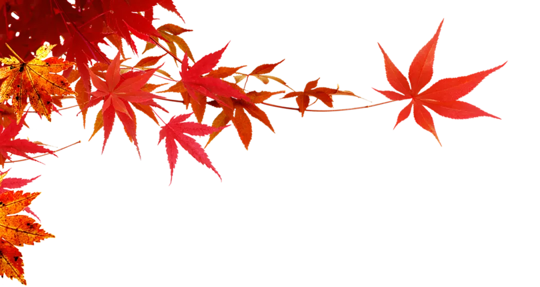 b78f3bb15021b96b59a25cb65b47fe1b-sz_632412