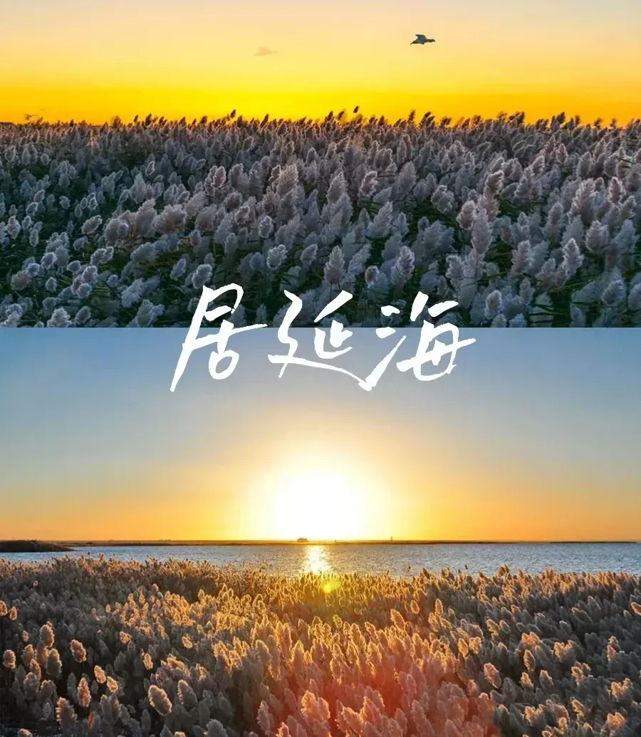 b79dd241b64e95f1b6f61f5aec0ebfc7-sz_1677347 b79dd241b64e95f1b6f61f5aec0ebfc7-sz_1677347