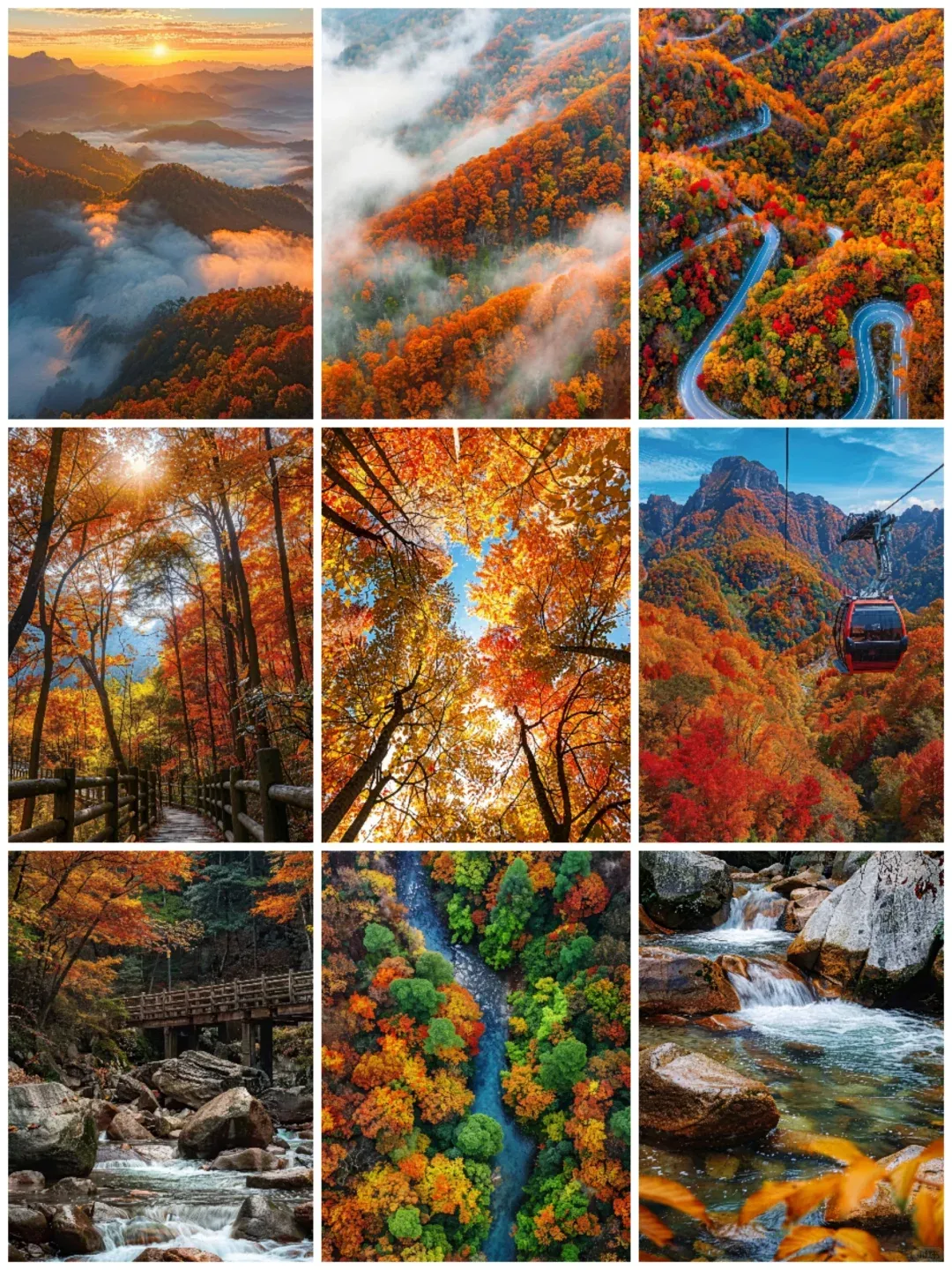 2999起【五钻光雾山·火车出行更适宜】汉中进南充出玩上8天，看最美的枫叶，住豪华的酒店，吃地方的美食，逛千年的古城！价格实惠，品质翻倍！