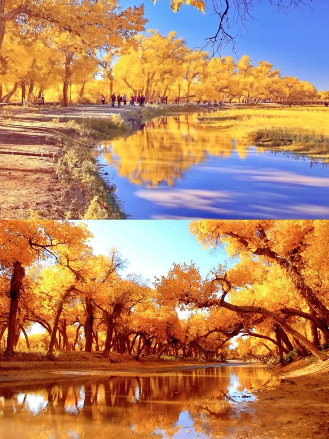 bad9cb8cc94b2e6ae419d87a12fa05f4-sz_3005429-1 bad9cb8cc94b2e6ae419d87a12fa05f4-sz_3005429-1