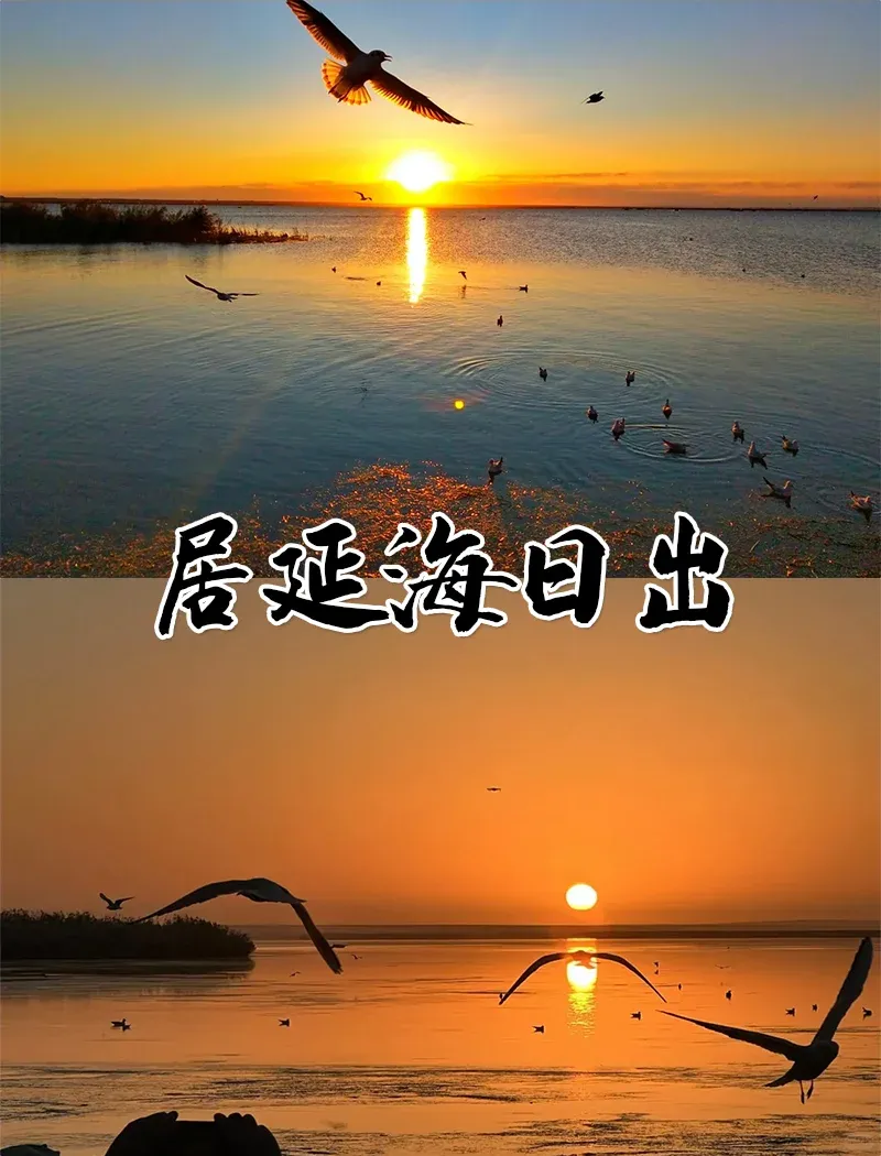 bafba1b234f10c598712a09149473178-sz_1193370