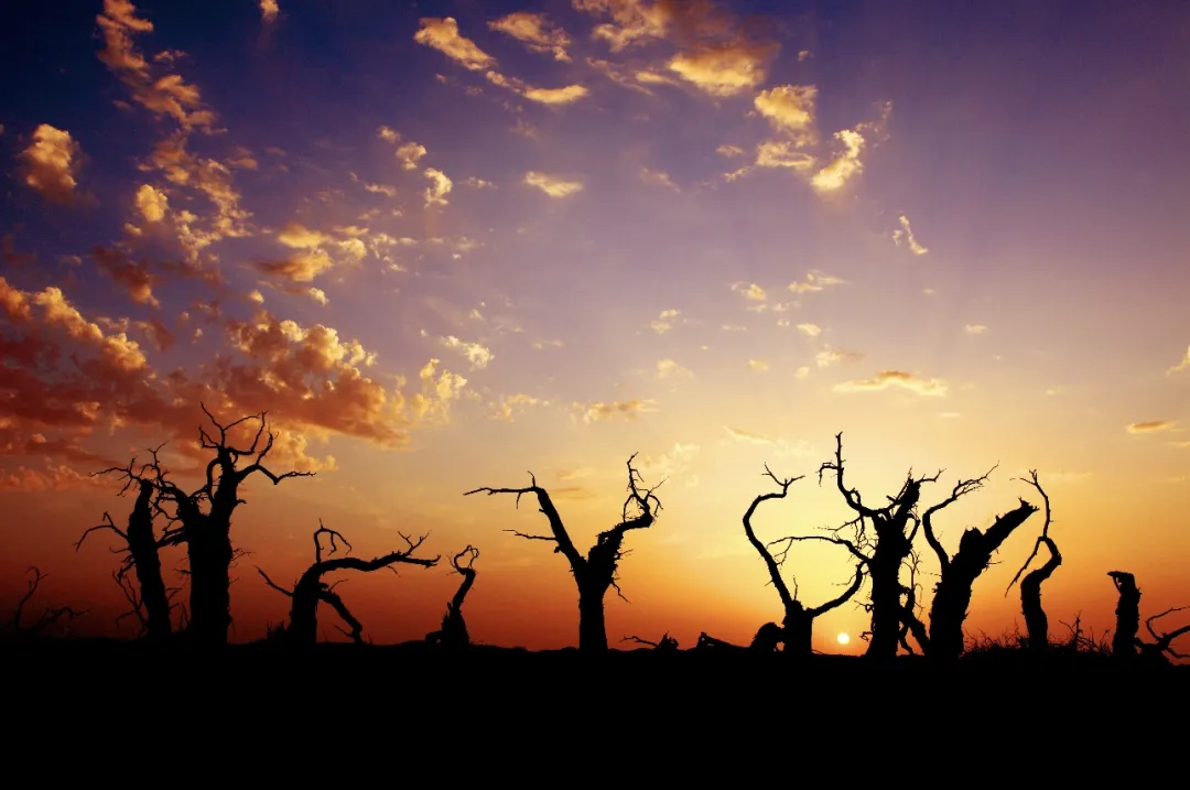 be8935345f99cb1273ec27df7b18c930-sz_330845-1 be8935345f99cb1273ec27df7b18c930-sz_330845-1