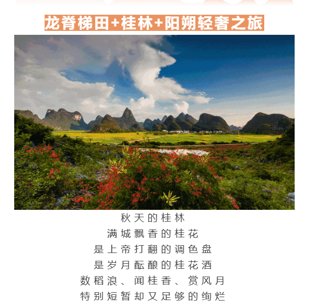 c0afdbc9c57dc8ea99627911d264e319