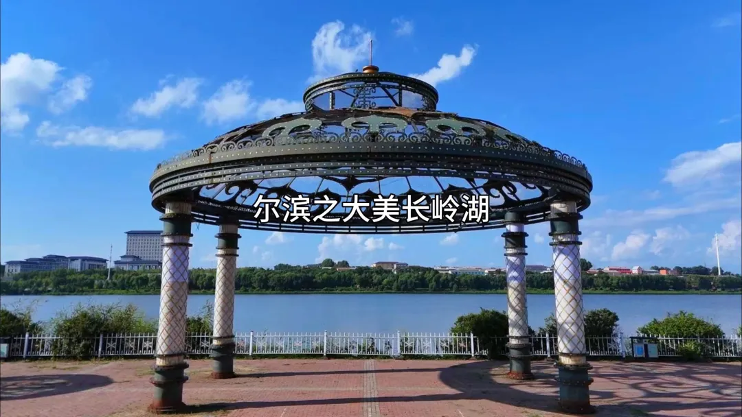 c12839fffd1c5bfd6d842335ab774188-sz_395745