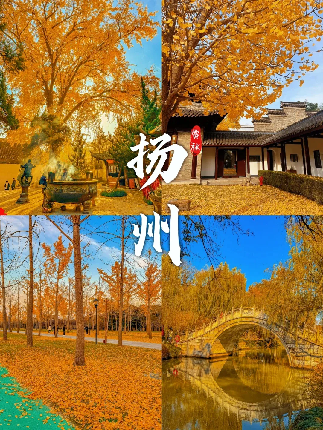 c1d3e63930cd276695ca2c489da957b3-sz_3239313 c1d3e63930cd276695ca2c489da957b3-sz_3239313