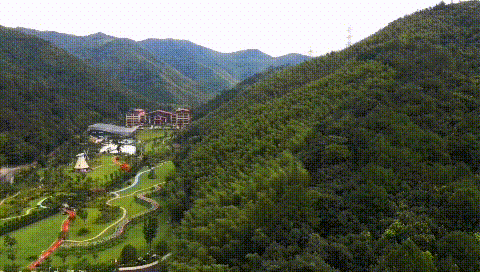 c539cf9915c13373571b5c4064341d91-sz_4237642