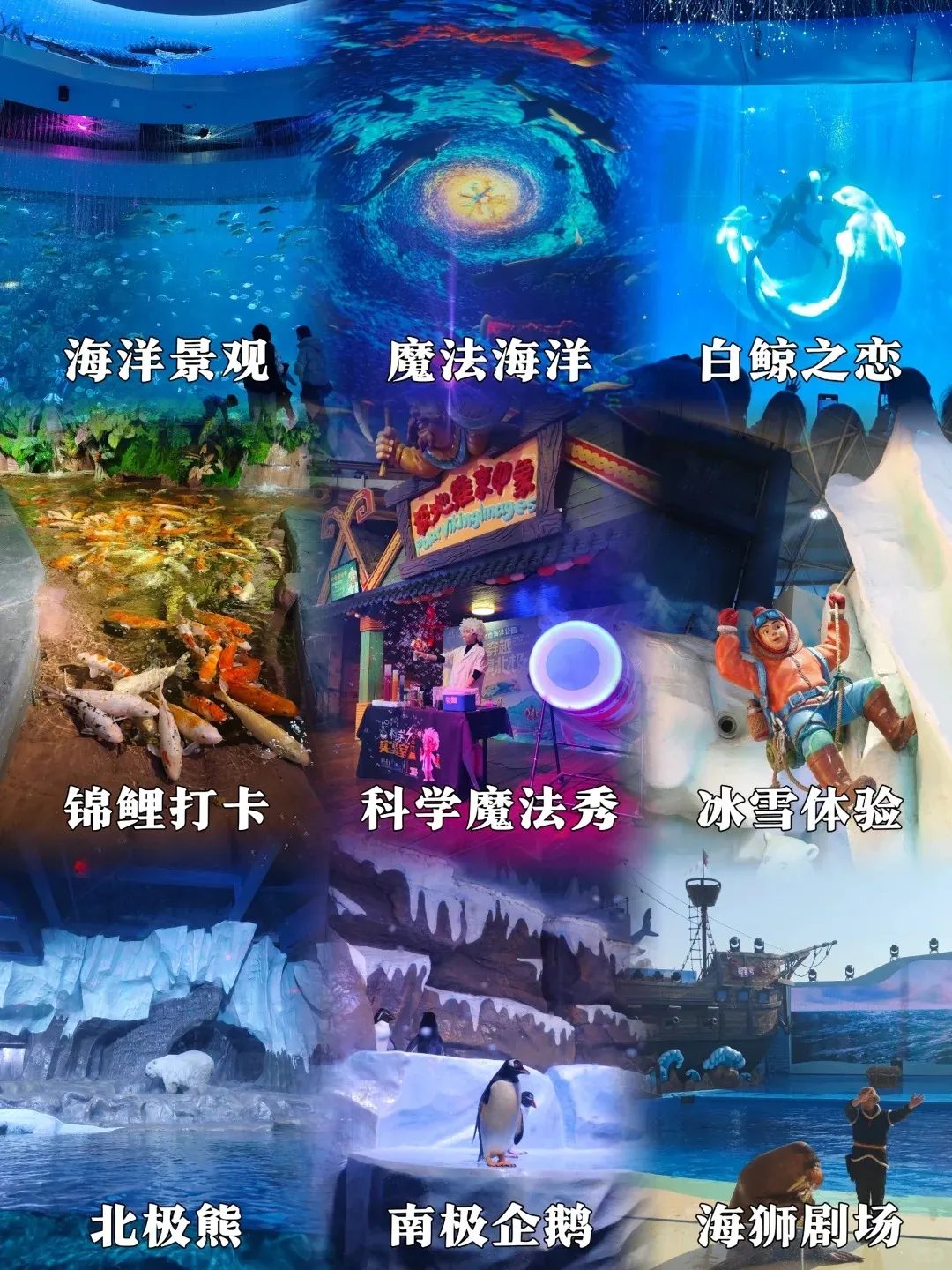c66e192c1c2fff2b6f13d4dc95aa4716-sz_500875