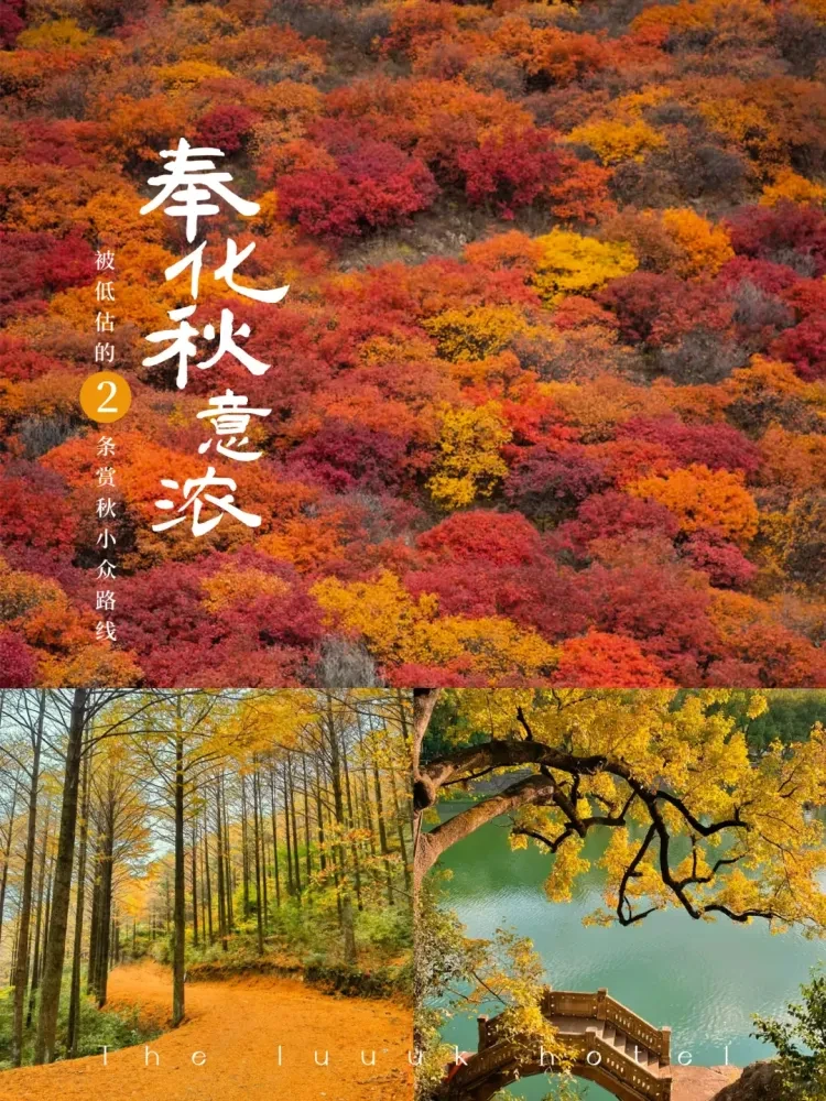 宁2-梦回溪口【高标住宿*康养溪口4日仅需499】三晚连住高品质四季青藤度假酒店！含3早5正特色餐！免费棋牌！深度自由度假5A溪口镇！雪窦山-蒋氏故居-弥勒文化博物馆-滕头村！